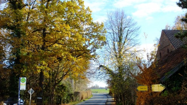 Herbst in Hattrop 2018